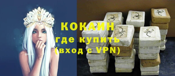 шишки Арсеньев