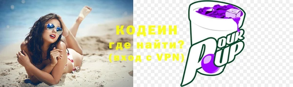 шишки Арсеньев