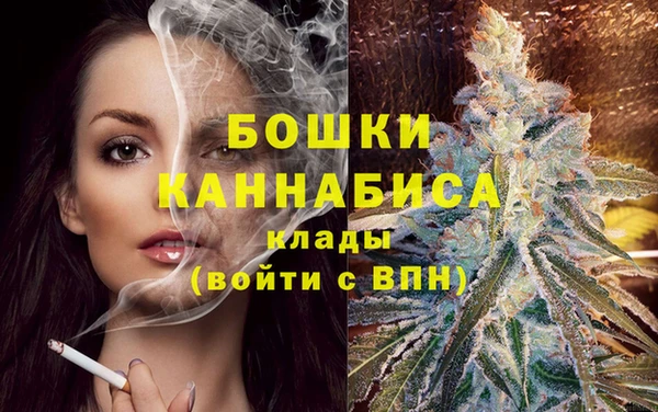 дмт Кулебаки