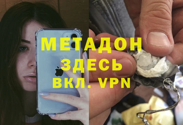 шишки Арсеньев