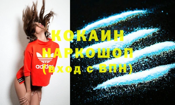 шишки Арсеньев
