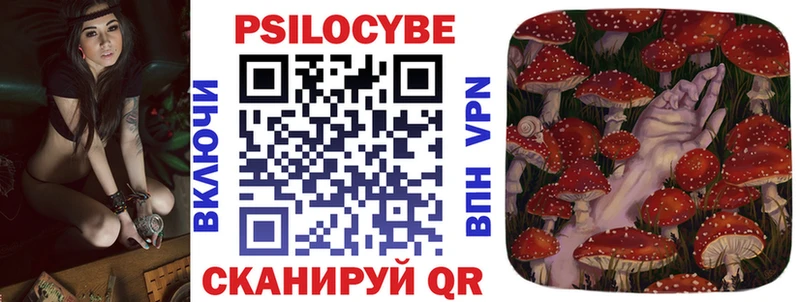 мега ссылки  Макушино  Псилоцибиновые грибы Psilocybine cubensis 